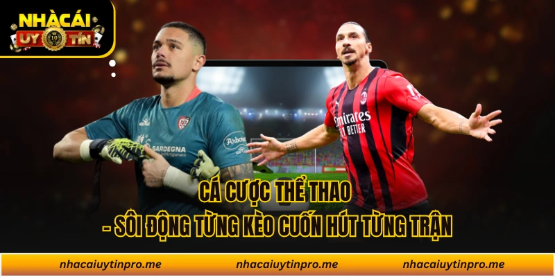 Cá Cược Thể Thao - Sôi Động Từng Kèo Cuốn Hút Từng Trận