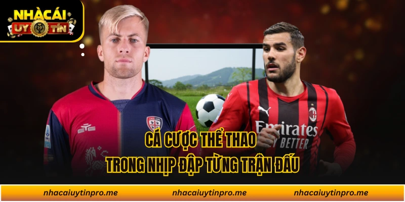 Cá cược thể thao trong nhịp đập từng trận đấu