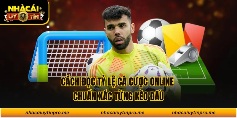 Cách Đọc Tỷ Lệ Cá Cược Online Chuẩn Xác Từng Kèo Đấu