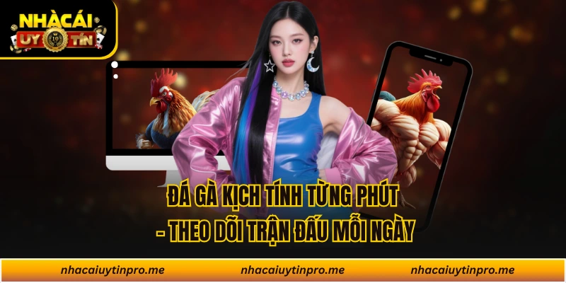 Đá Gà Kịch Tính Từng Phút - Theo Dõi Trận Đấu Mỗi Ngày