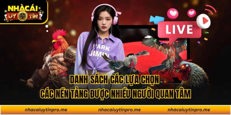 Danh sách các lựa chọn các nền tảng được nhiều người quan tâm