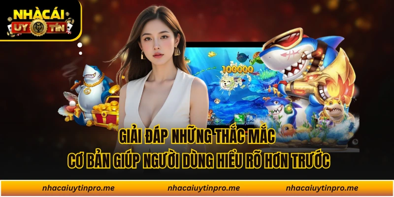 Giải đáp những thắc mắc cơ bản giúp người dùng hiểu rõ hơn trước
