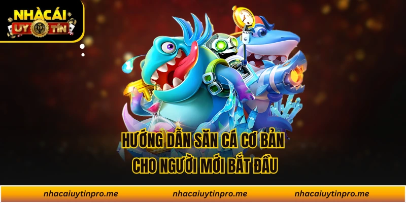 Hướng dẫn săn cá cơ bản cho người mới bắt đầu
