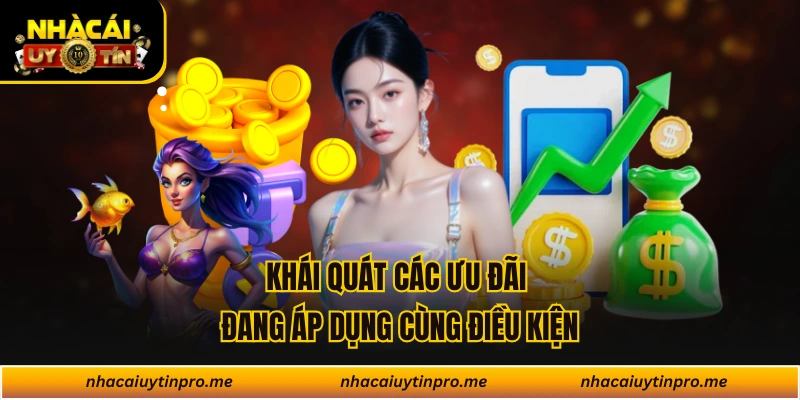 Khái quát các ưu đãi đang áp dụng cùng điều kiện