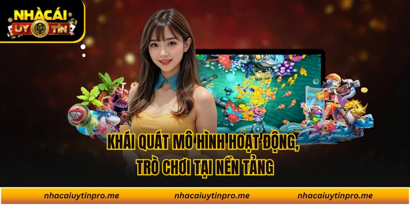 Khái quát mô hình hoạt động, trò chơi tại nền tảng