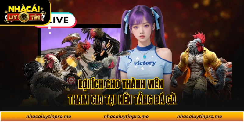Lợi ích cho thành viên tham gia tại nền tảng đá gà
