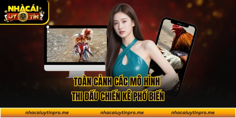 Toàn cảnh các mô hình thi đấu chiến kê phổ biến