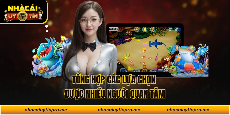 Tổng hợp các lựa chọn được nhiều người quan tâm