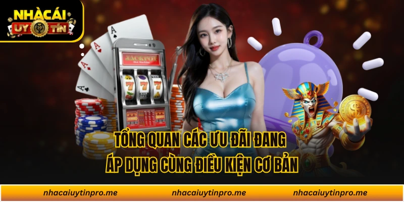 Tổng quan các ưu đãi đang áp dụng cùng điều kiện cơ bản