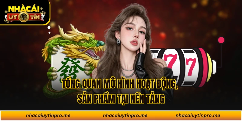 Tổng quan mô hình hoạt động, sản phẩm tại nền tảng