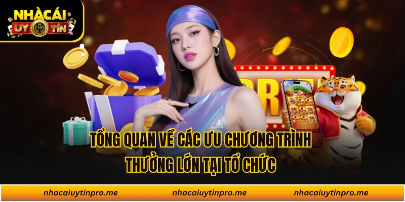 Tổng quan về các ưu chương trình thưởng lớn tại tổ chức 